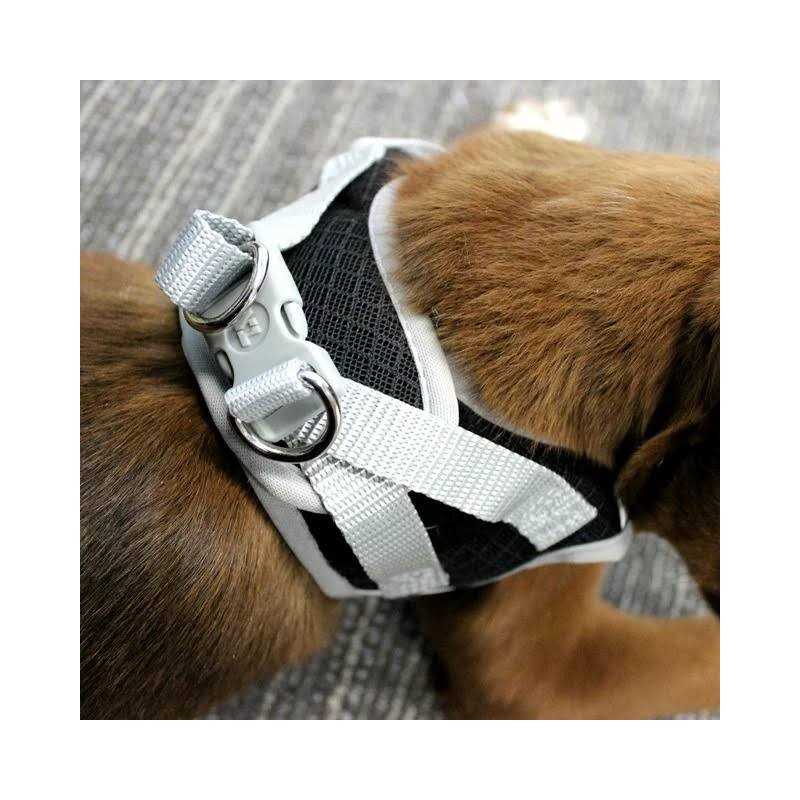 Dog Harness Y957