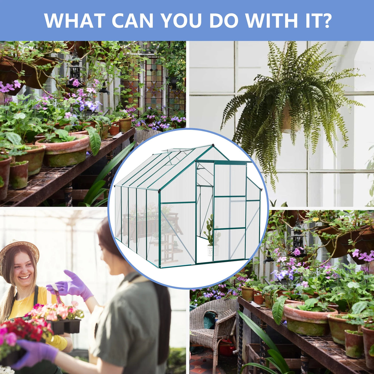 6' x 10' Aluminum Polycarbonate Greenhouse I325