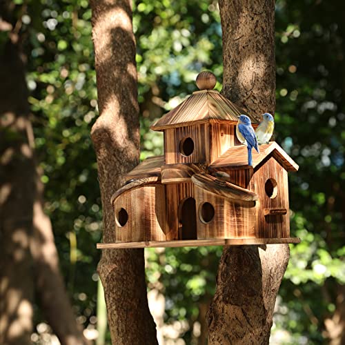 2in1 Bird House & Bird Feeder with 6 Hole L4770