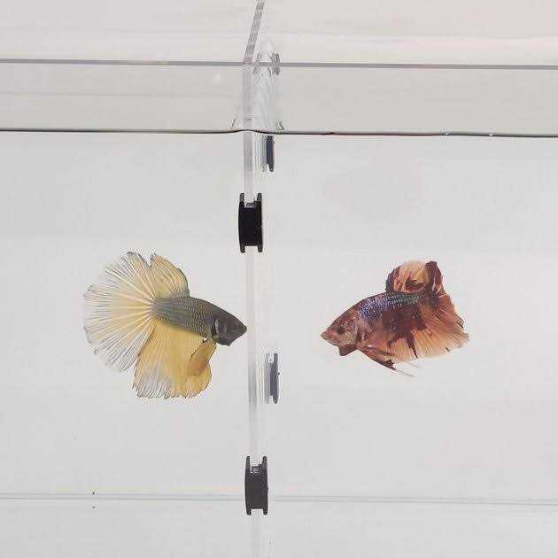 Acrylic Aquarium R2048