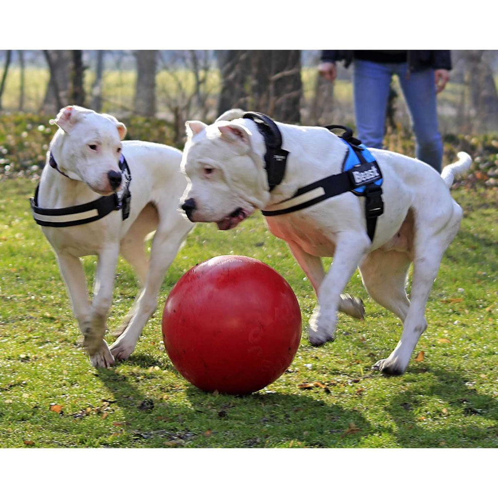 Pet Supplies G6017