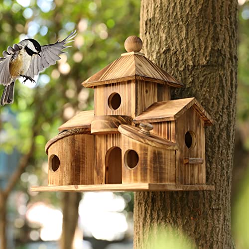2in1 Bird House & Bird Feeder with 6 Hole L4770