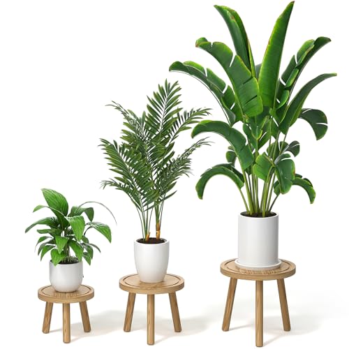 3-Pack Wood Plant Stands F337