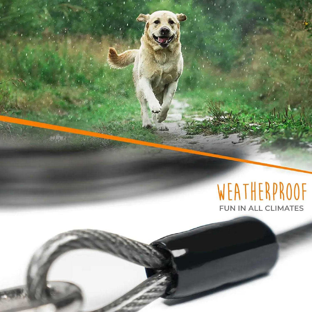 Dog Tie Out Cable L8542