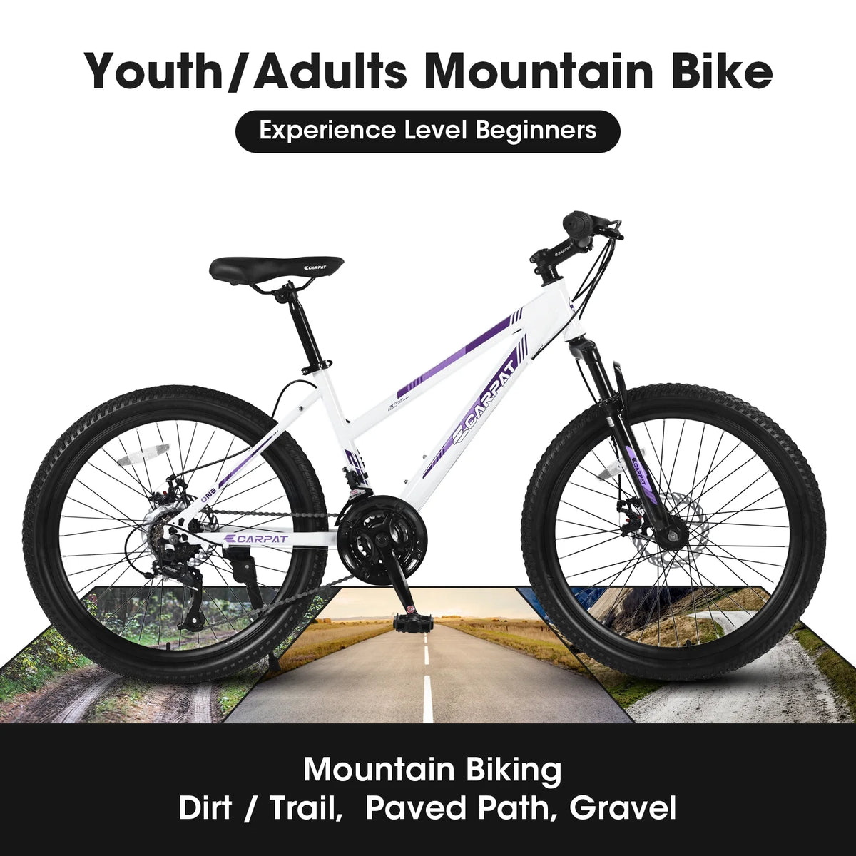 24 inch 21 Speeds Mountain Bike E66385