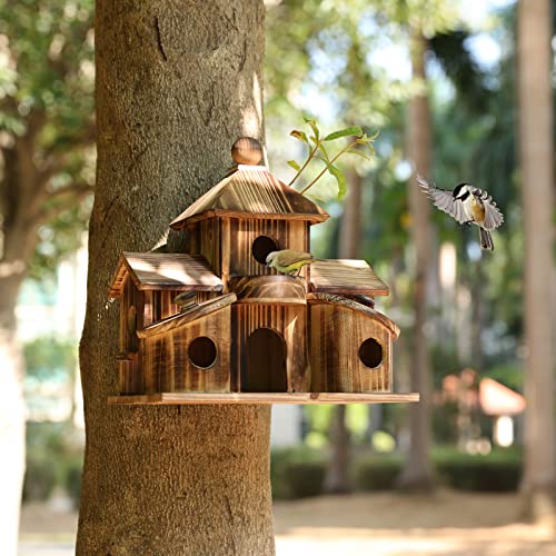 2in1 Bird House & Bird Feeder with 6 Hole L4770