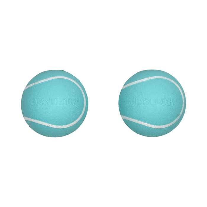 Squeaky Chew Ball Dog Toy R9803