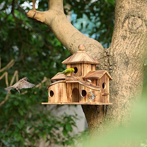 2in1 Bird House & Bird Feeder with 6 Hole L4770
