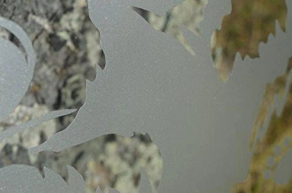 Etched Glass Privacy Film Y7068