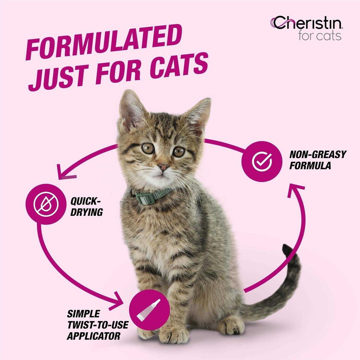 Flea Treatment for Cats B3323