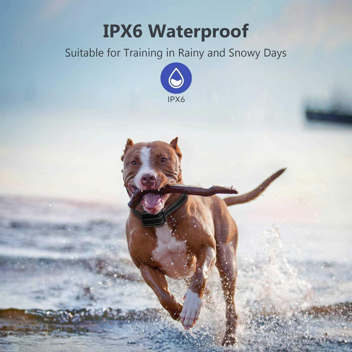 Waterproof Dog Bark Collar D408202