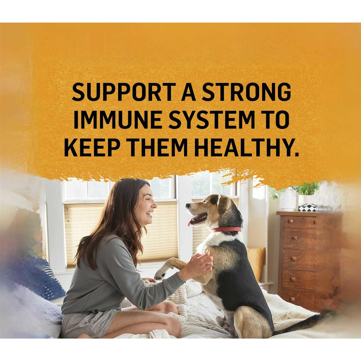 Natural Chicken Bone Broth Wet Cat Food R2558