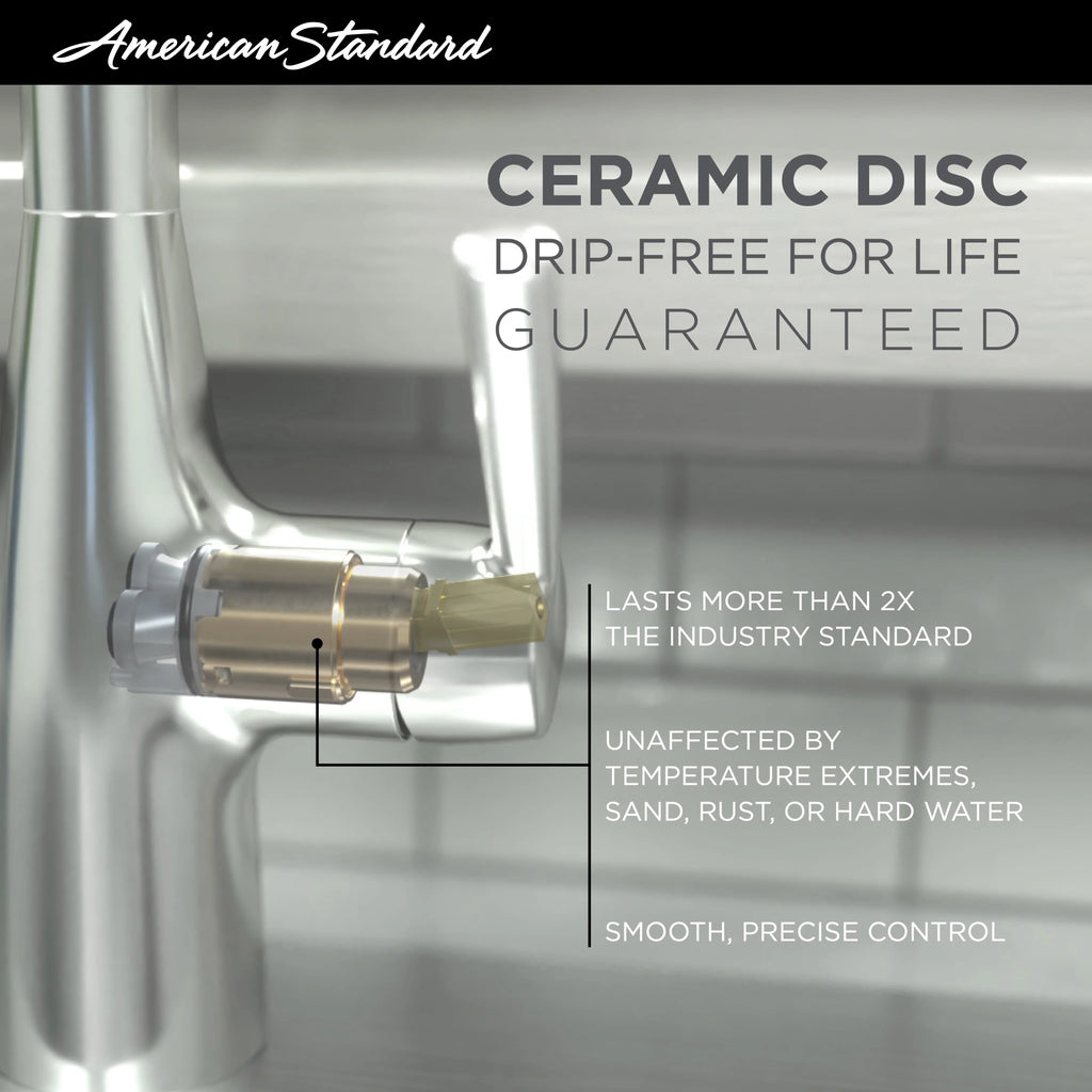2-Handle Kitchen Faucet with Side Sprayer in Polished Chrome V218274