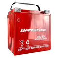 Motorcycle Battery Replacement A79763