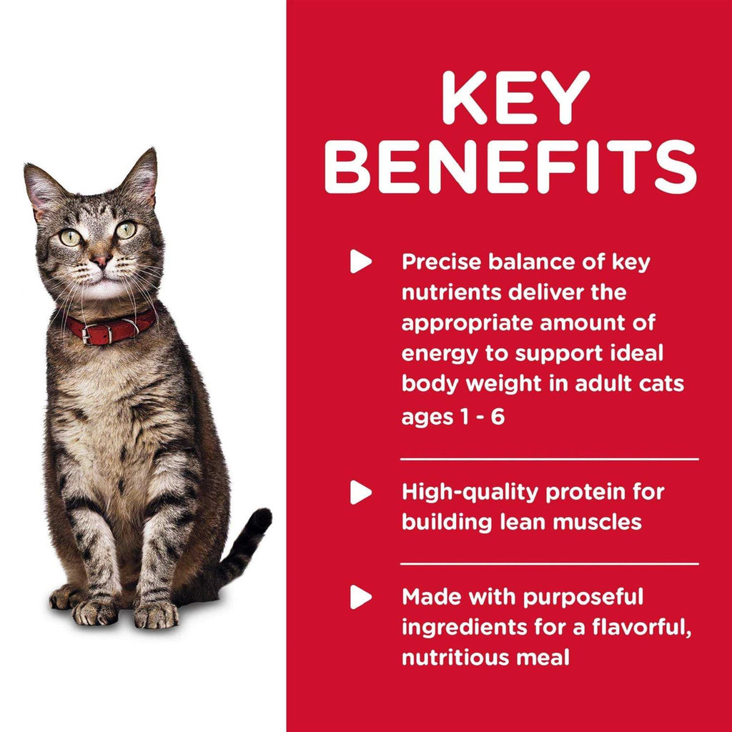 Adult Cat Canned Food Q6435