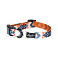 Pet Collar N96547