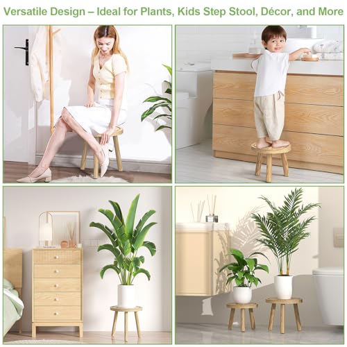 3-Pack Wood Plant Stands F337