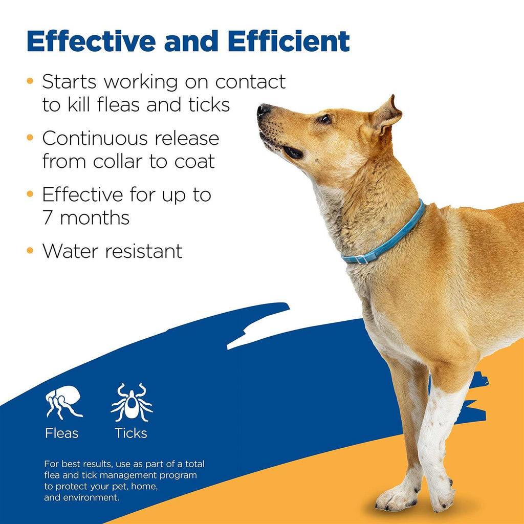 Flea Tick Collar for Dogs I402385