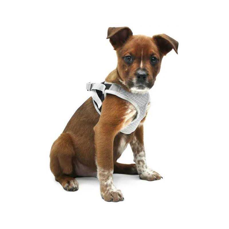 Dog Harness Y957