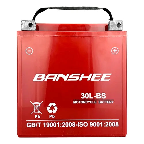 Motorcycle Battery Replacement A79763