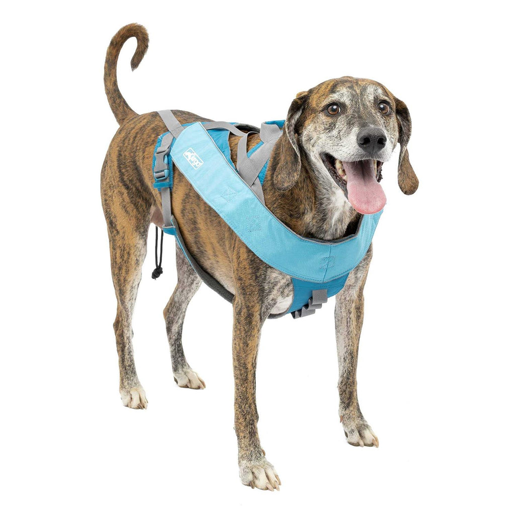 Dog Harness T18023