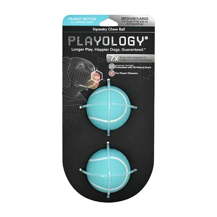 Squeaky Chew Ball Dog Toy R9803