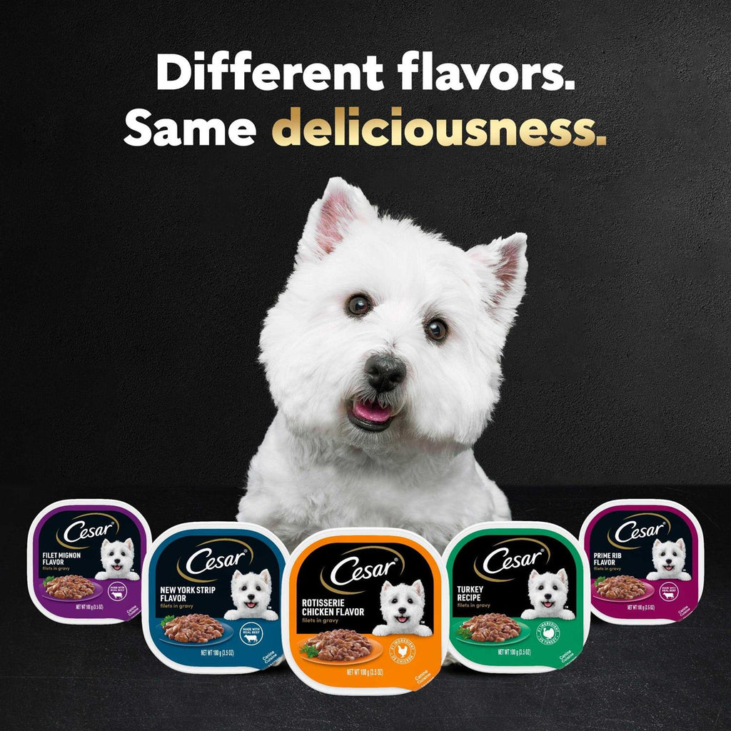 Rotisserie Chicken Flavor Wet Dog Food R176475