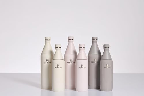 20 oz Insulated Stainless Steel Water Bottle H2999
