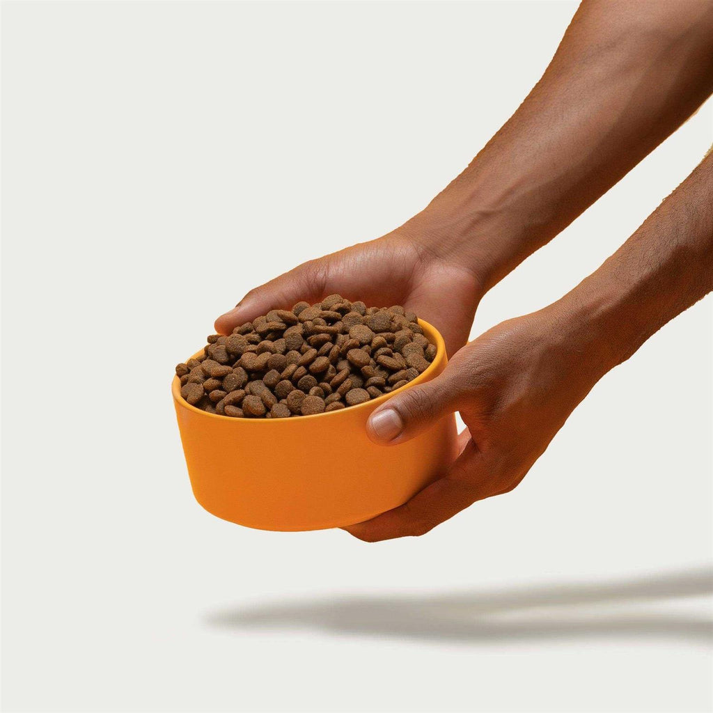 Brown Rice & Sweet Potato Dry Dog Food P417260
