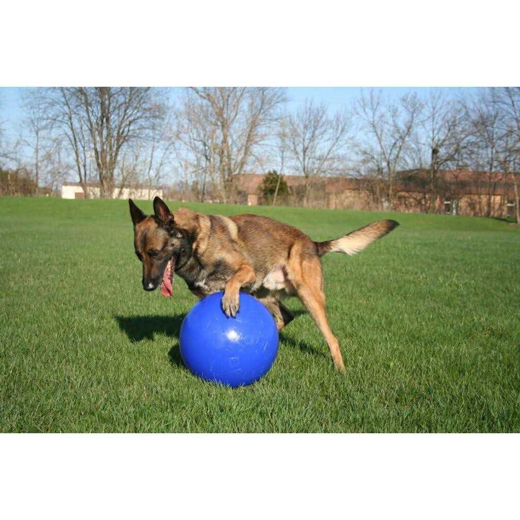 Pet Supplies G6017