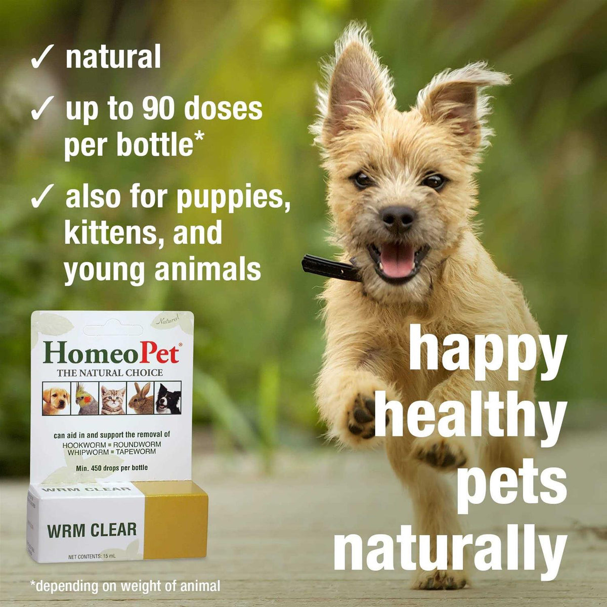 Pet Supplies Y6852