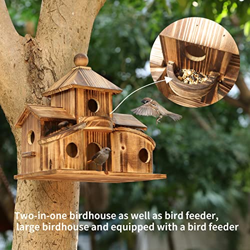 2in1 Bird House & Bird Feeder with 6 Hole L4770
