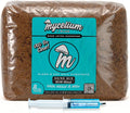 Mushroom Growing Kit with 8lbs Substrate and Liquid Culture Syringe R46409