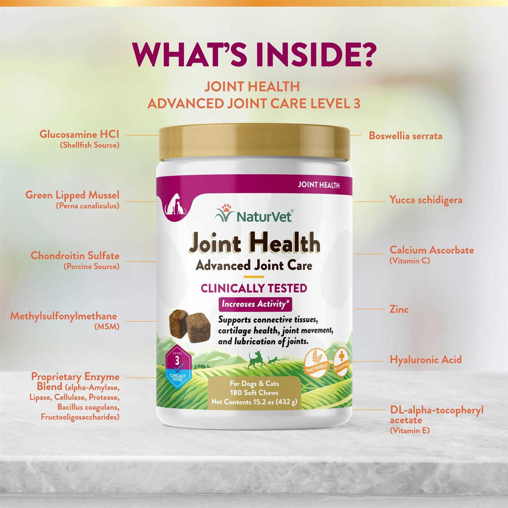 Joint Health Soft Chews for Dogs C8844