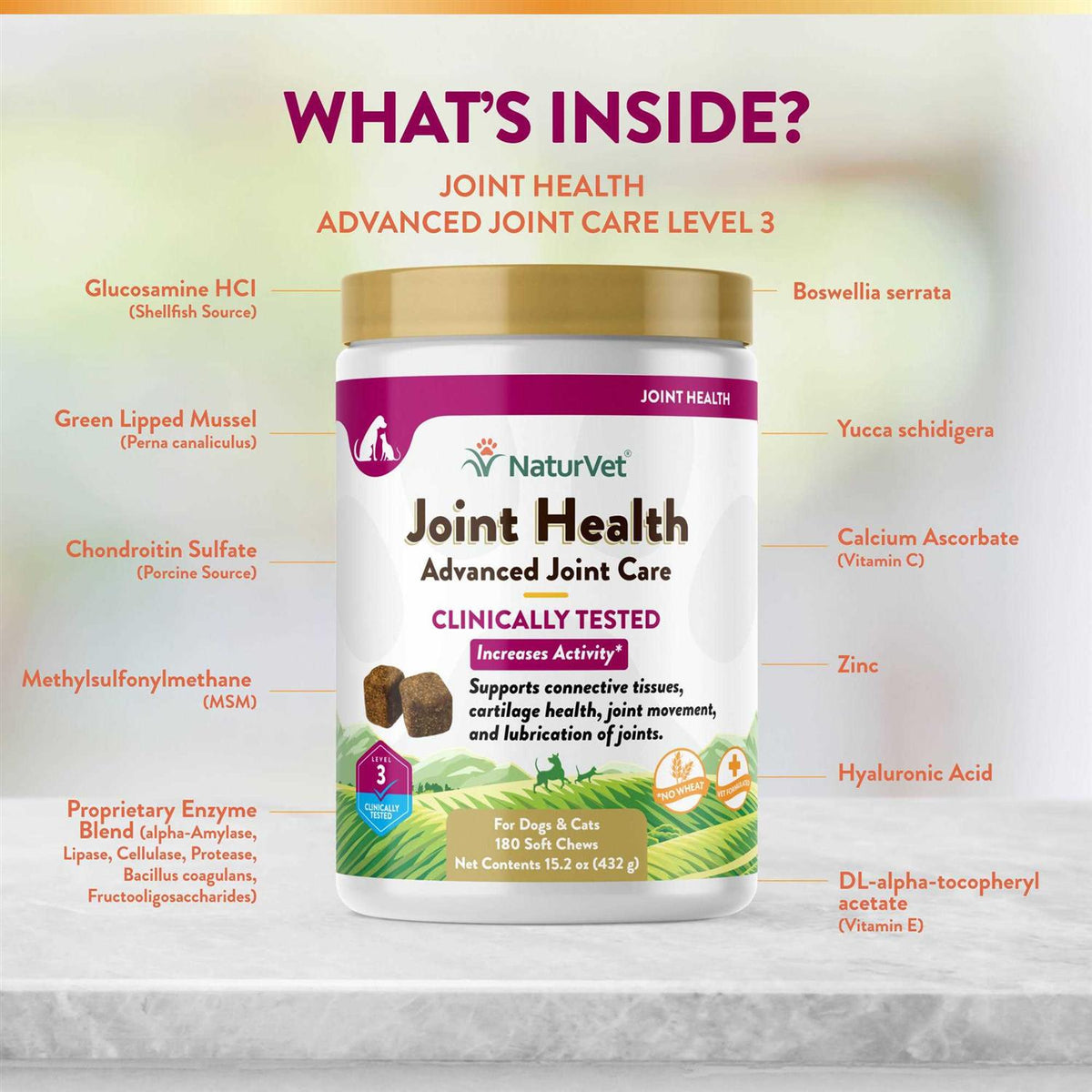 Joint Health Soft Chews for Dogs C8844