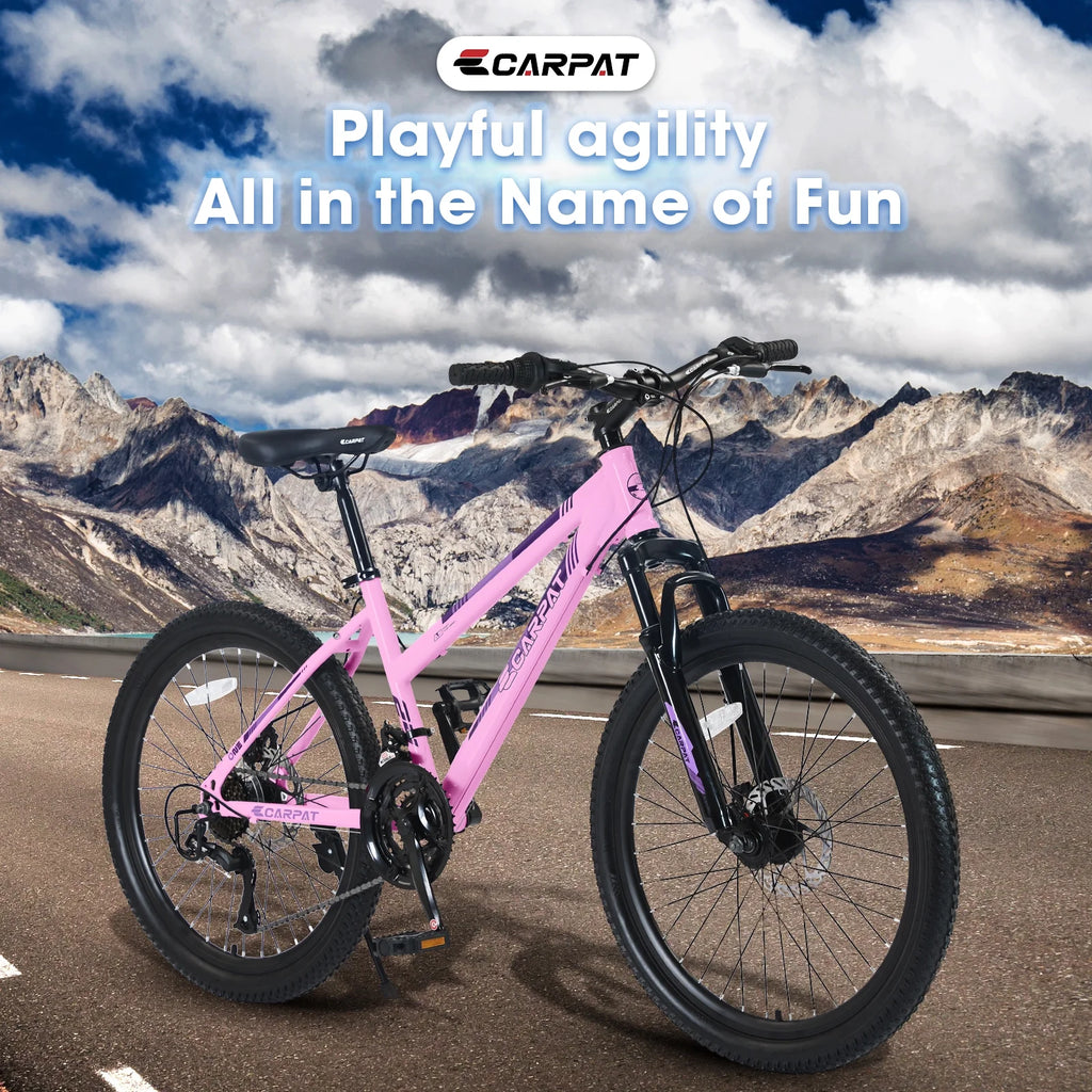 24 inch 21 Speeds Mountain Bike E66385