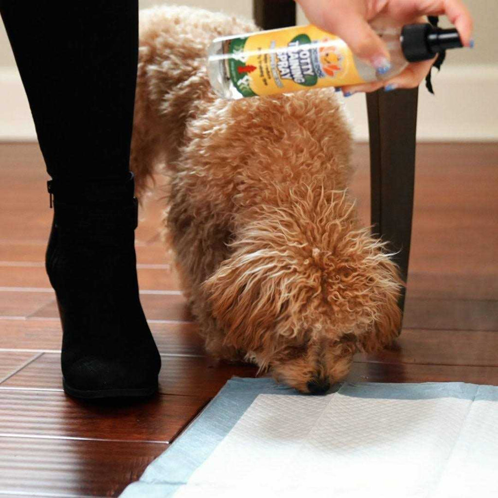 Indoor Outdoor Potty Training Spray for Dogs & Puppies P3755