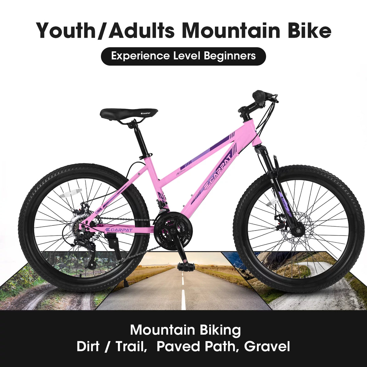 24 inch 21 Speeds Mountain Bike E66385