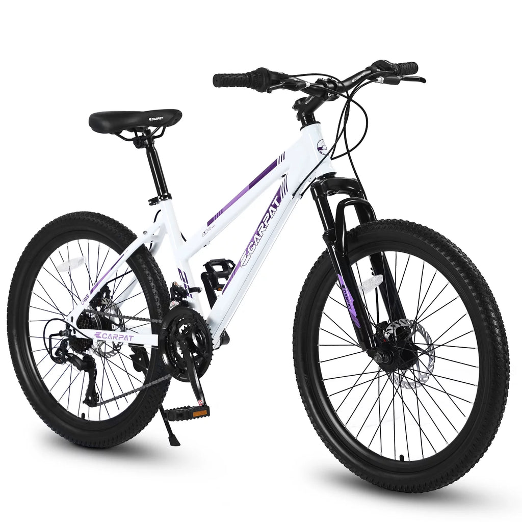 24 inch 21 Speeds Mountain Bike E66385