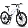 24 inch 21 Speeds Mountain Bike E66385