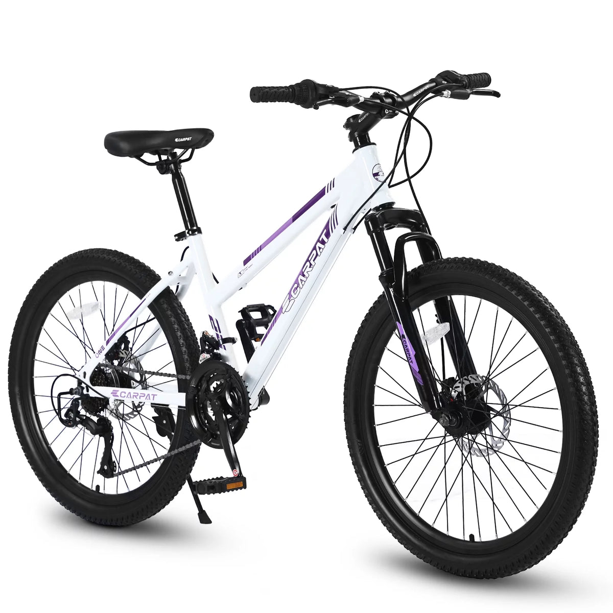 24 inch 21 Speeds Mountain Bike E66385