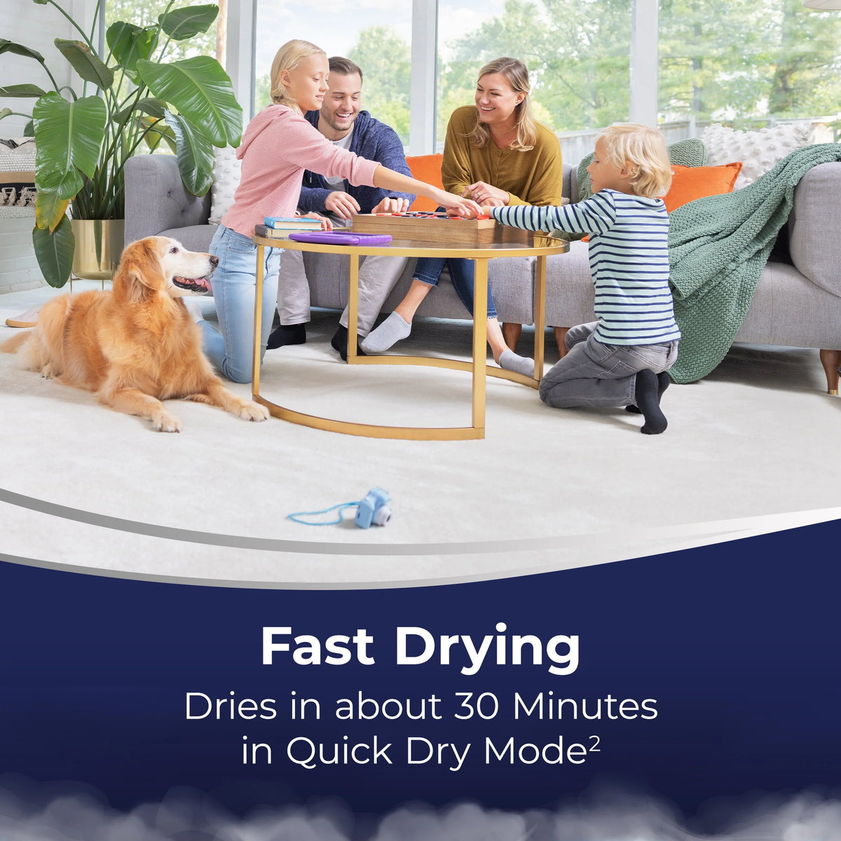 Carpet Cleaner K172751