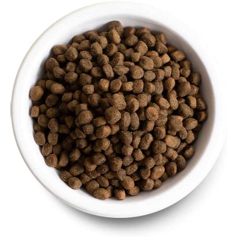 Pasture Raised Lamb Ancient Grains Dry Dog Food W89245