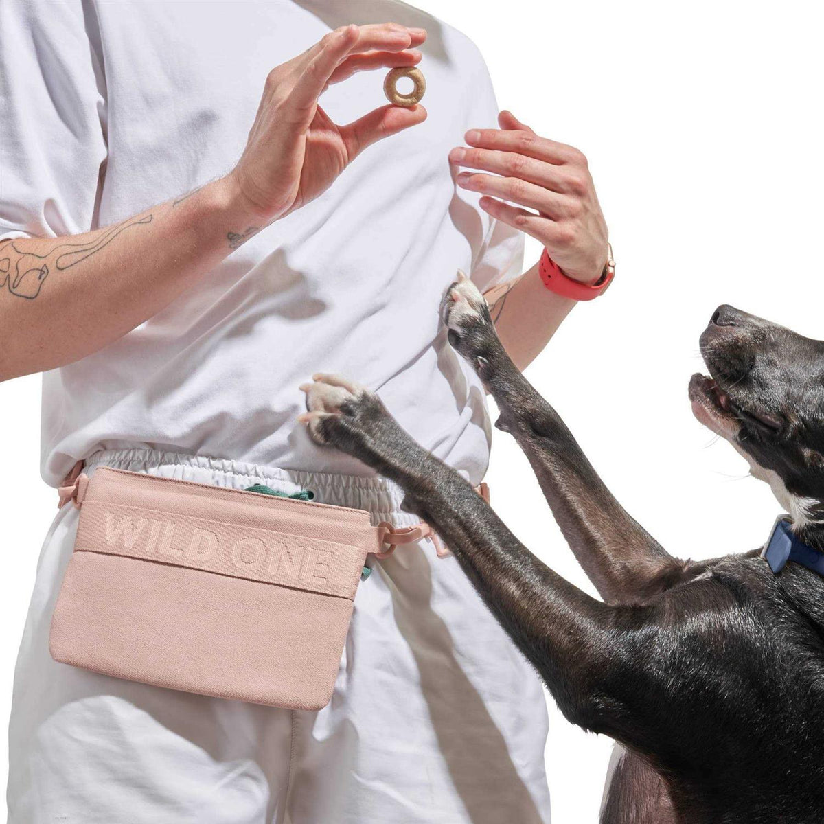 Cotton Dog Treat Pouch N241679