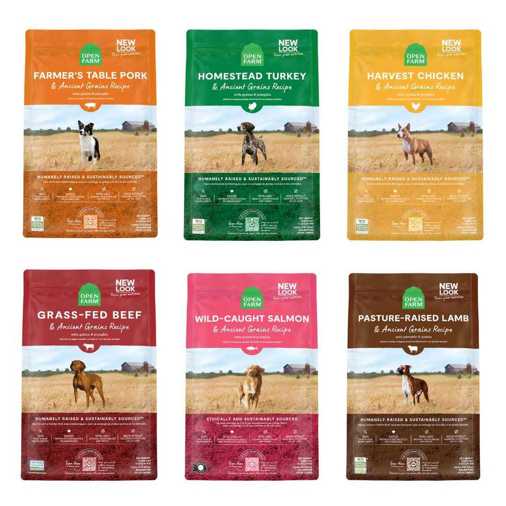 Pasture Raised Lamb Ancient Grains Dry Dog Food W89245