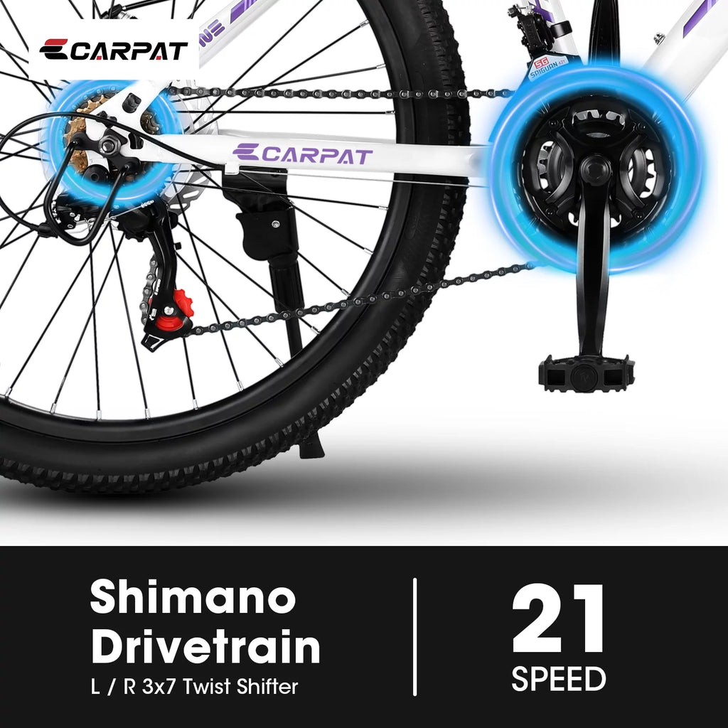 24 inch 21 Speeds Mountain Bike E66385