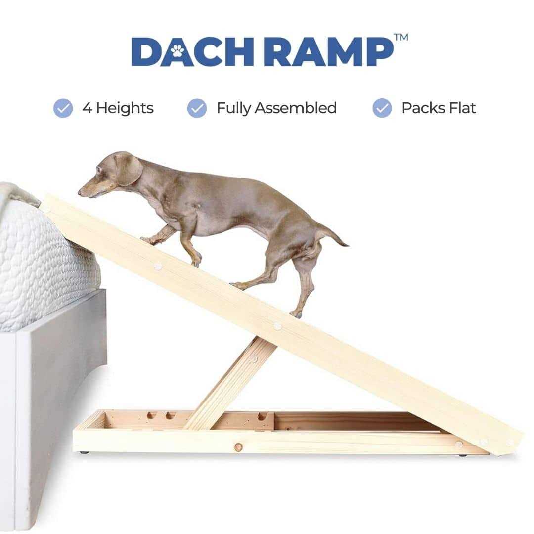 Dachshund Ramp I6541