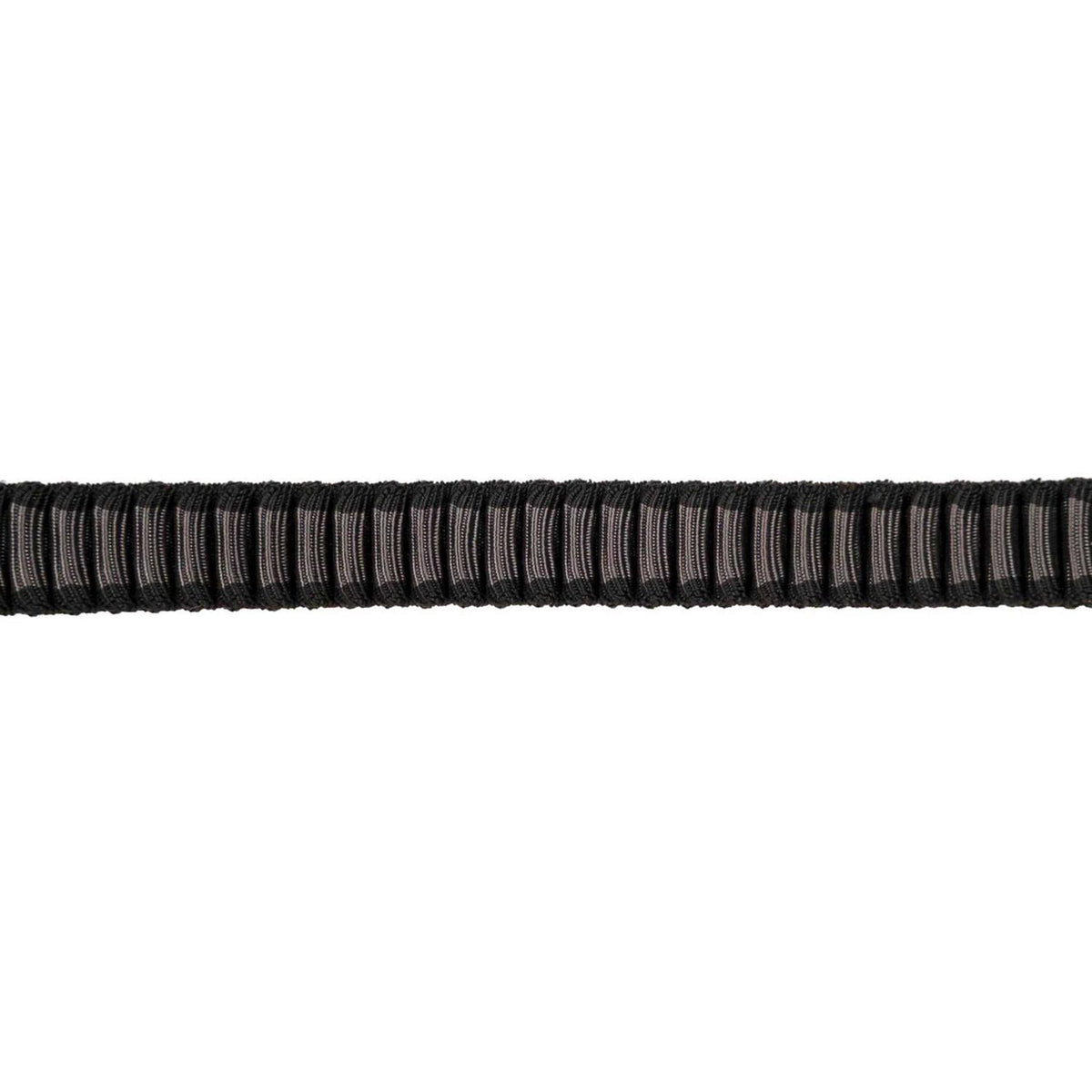 Bungee Dogwear R198973