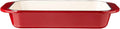 Cast Iron Roasting Lasagna Pan X874