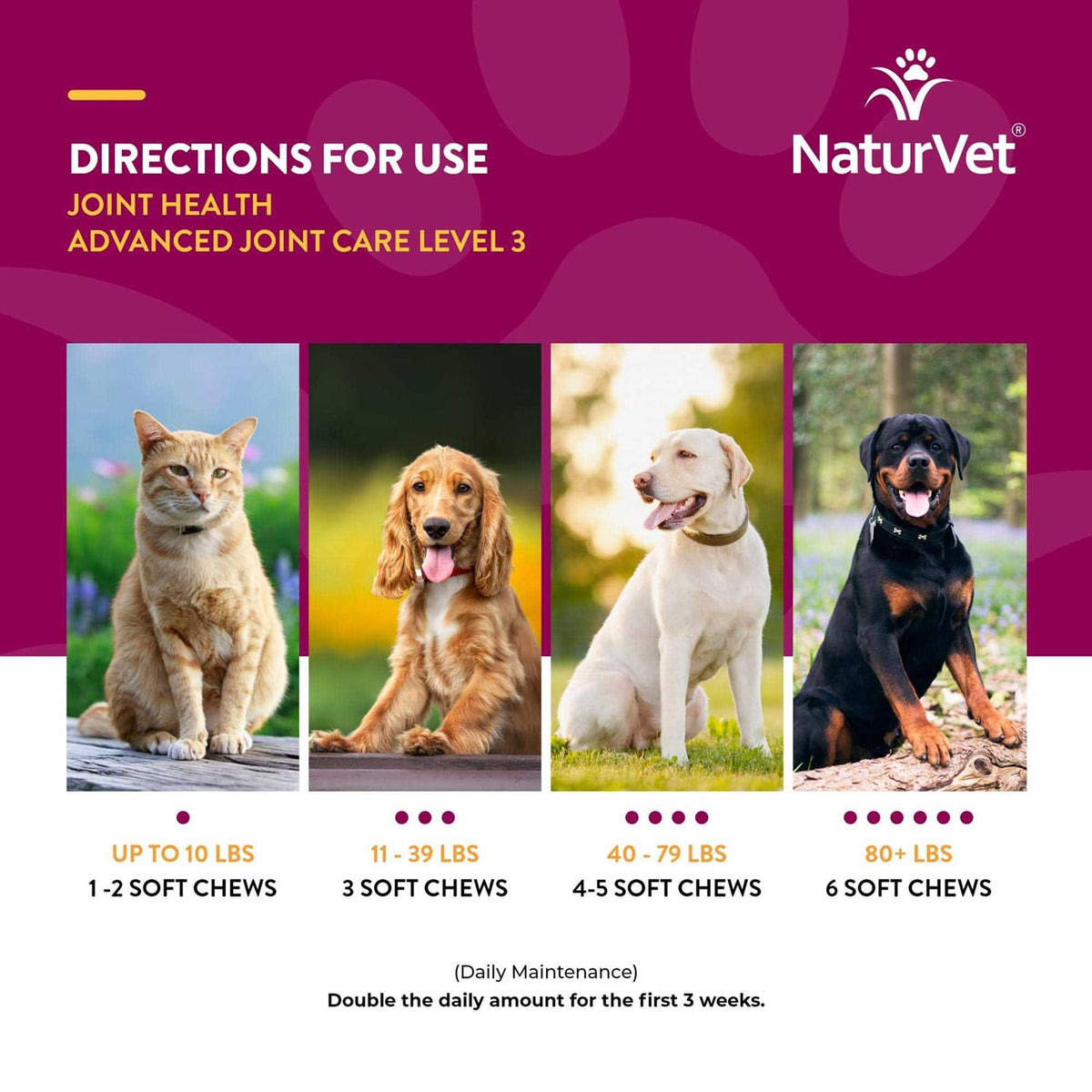 Joint Health Soft Chews for Dogs C8844